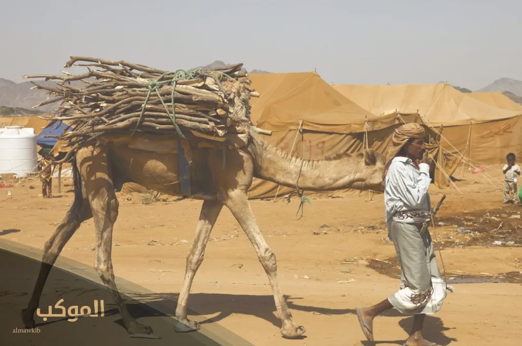 الحسيني من وين