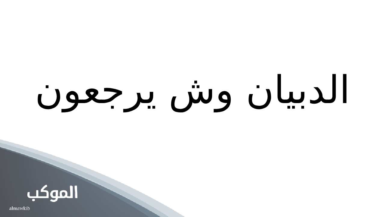 الدبيان وش يرجعون.. أصل الدبيان وش يرجع 5 الدبيان من أي فخذ