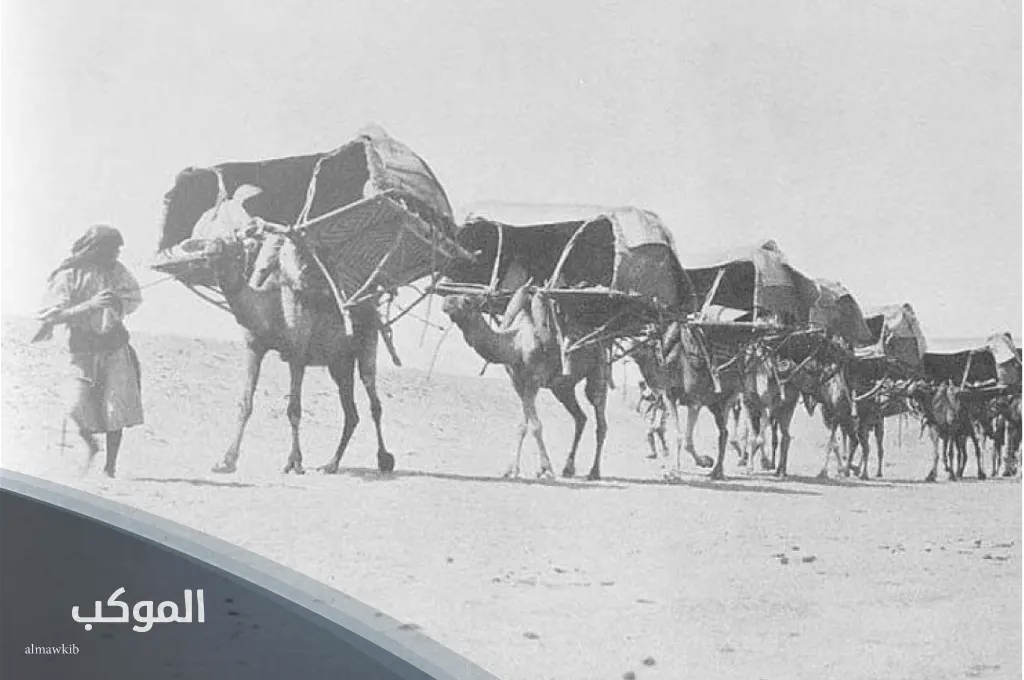 الدخيل وش يرجعون