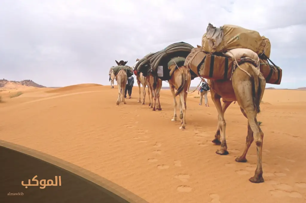 الدواسر وش يرجعون