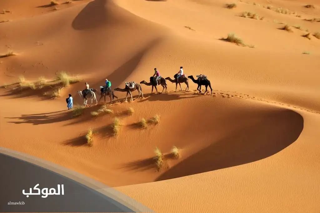 اصل عائلة الرفاعي