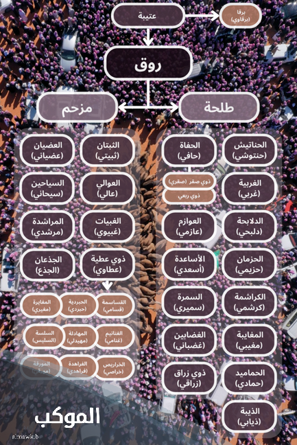 شجرة عائلة الروقي