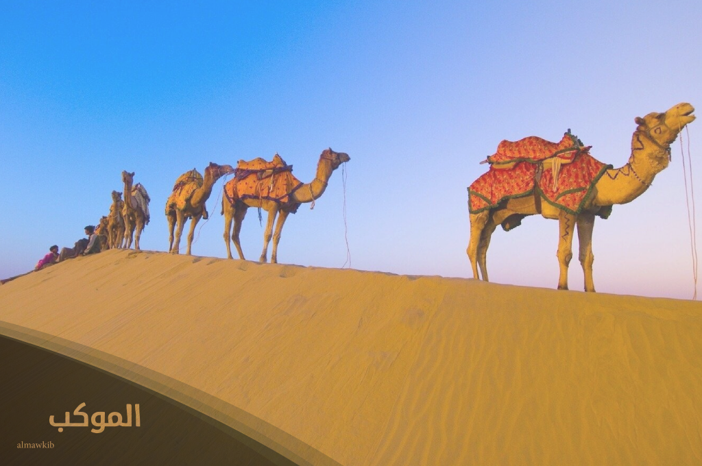 الرويس وش يرجعون 2