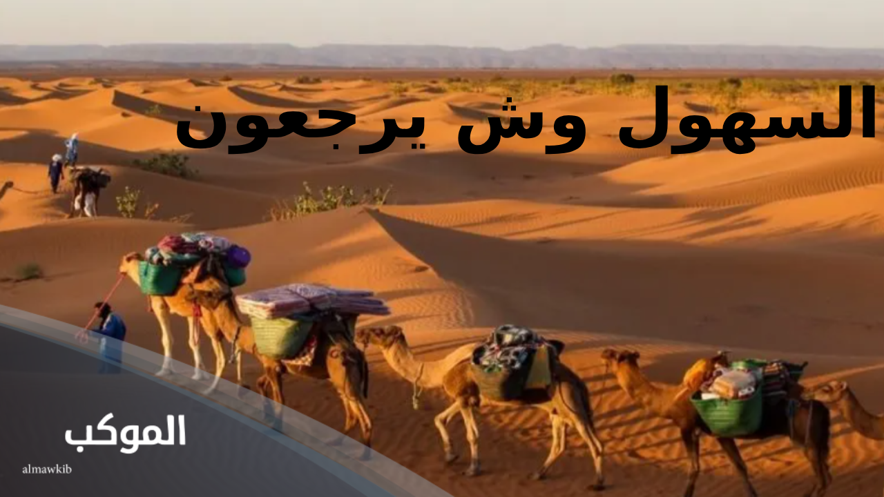 السهول وش يرجعون.. نسب عائلة السهول من وين 5 السهول وش يرجعون وفخوذ القبيلة