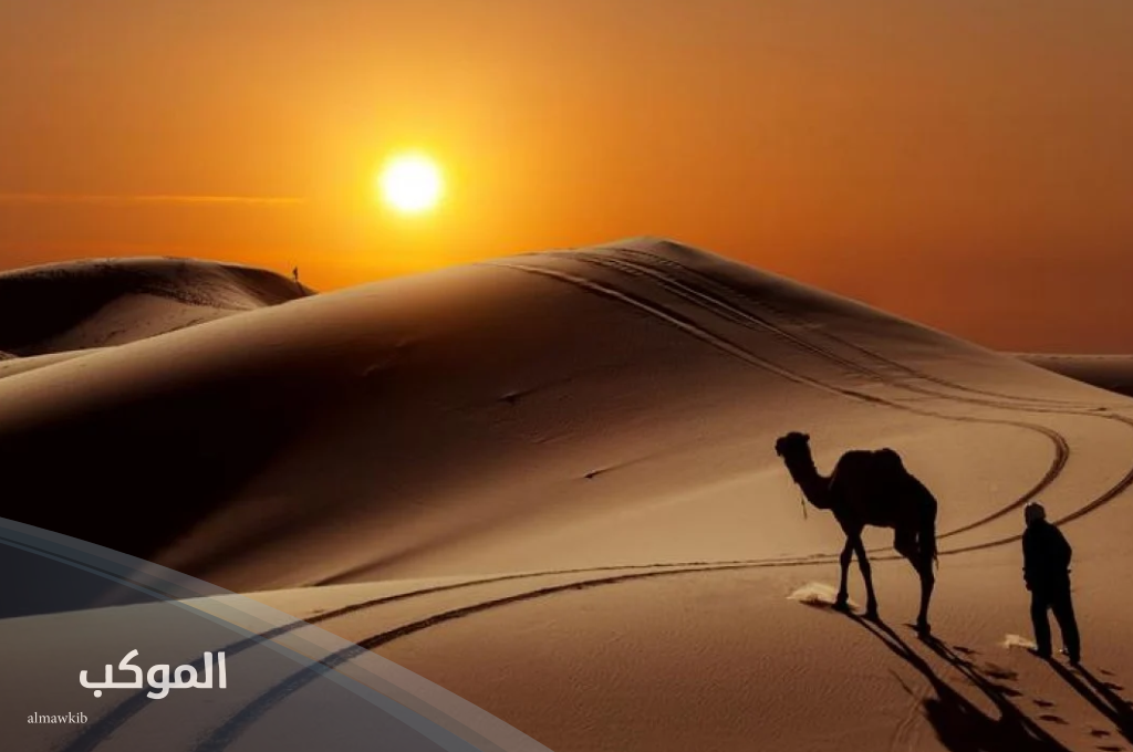 السويلمي وش يرجعون 1