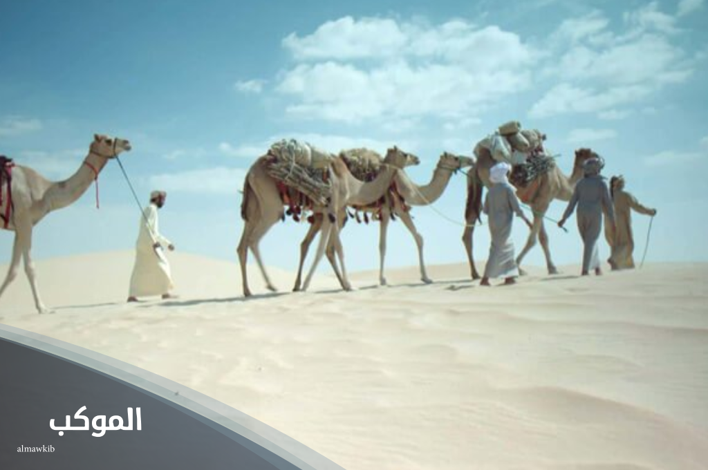 السياري وش يرجع