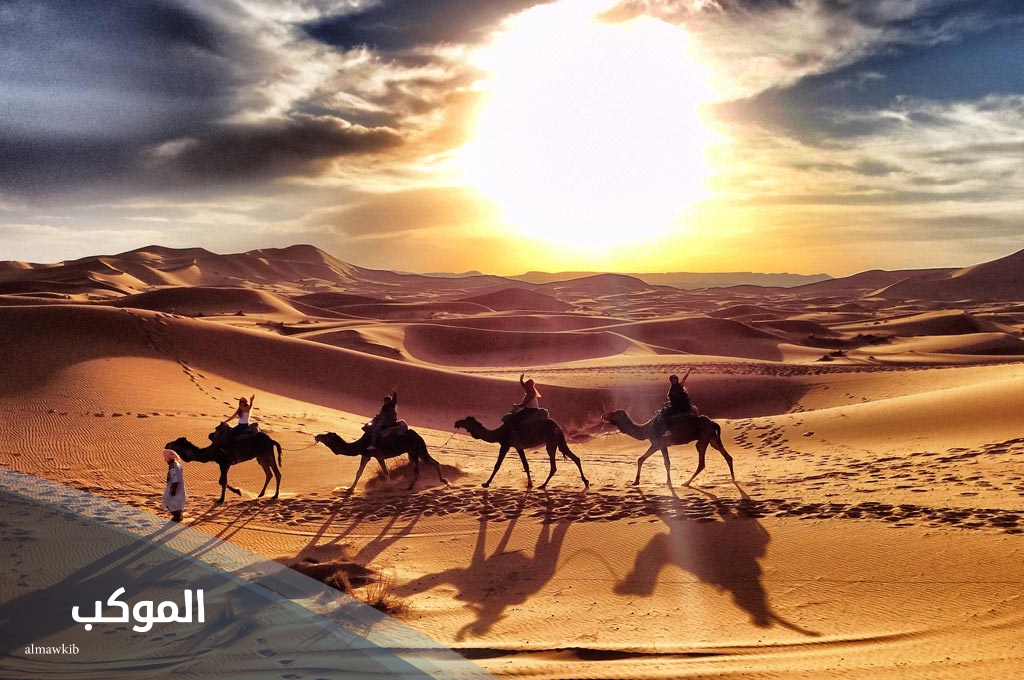 الشايع وش يرجعون