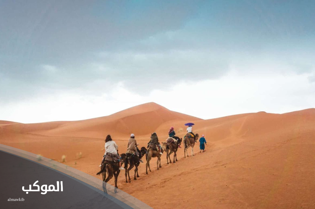 الشلاحي وش يرجع