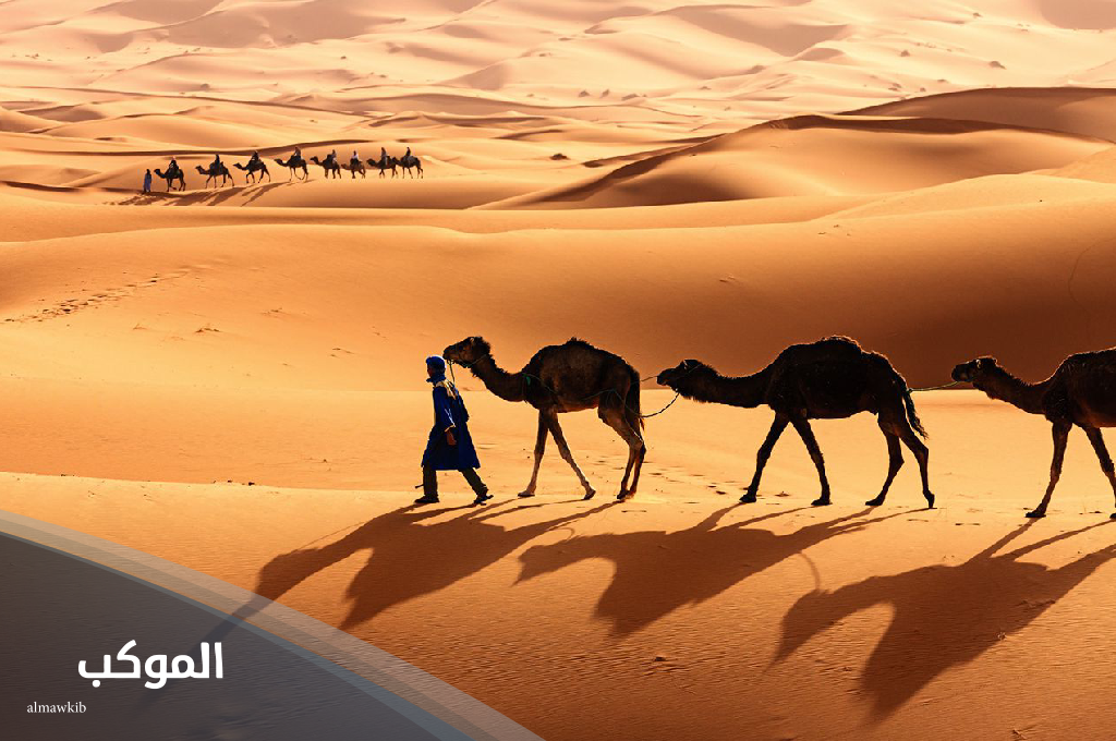 الشمراني وش يرجع