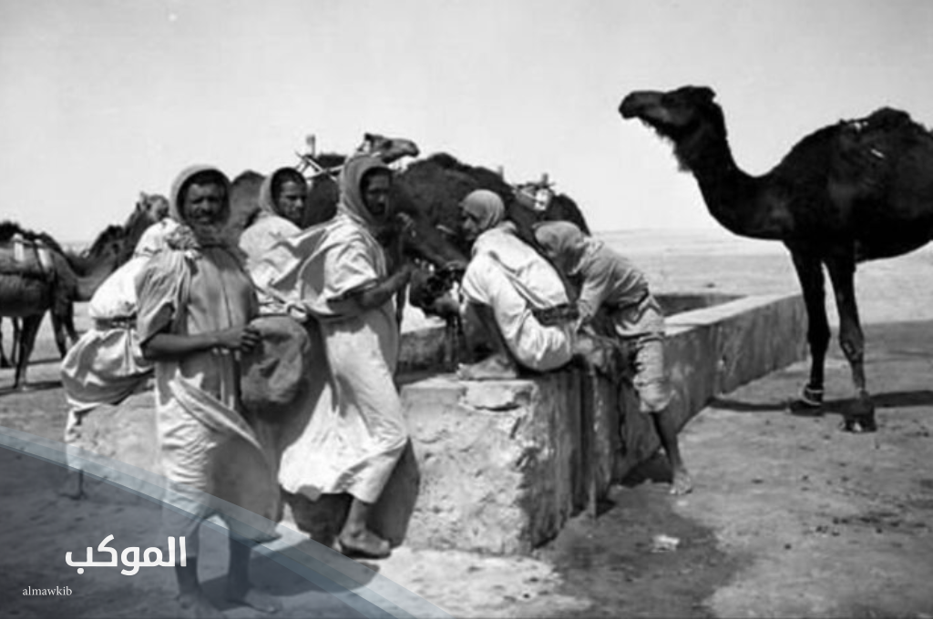 الشنيفي وش يرجعون