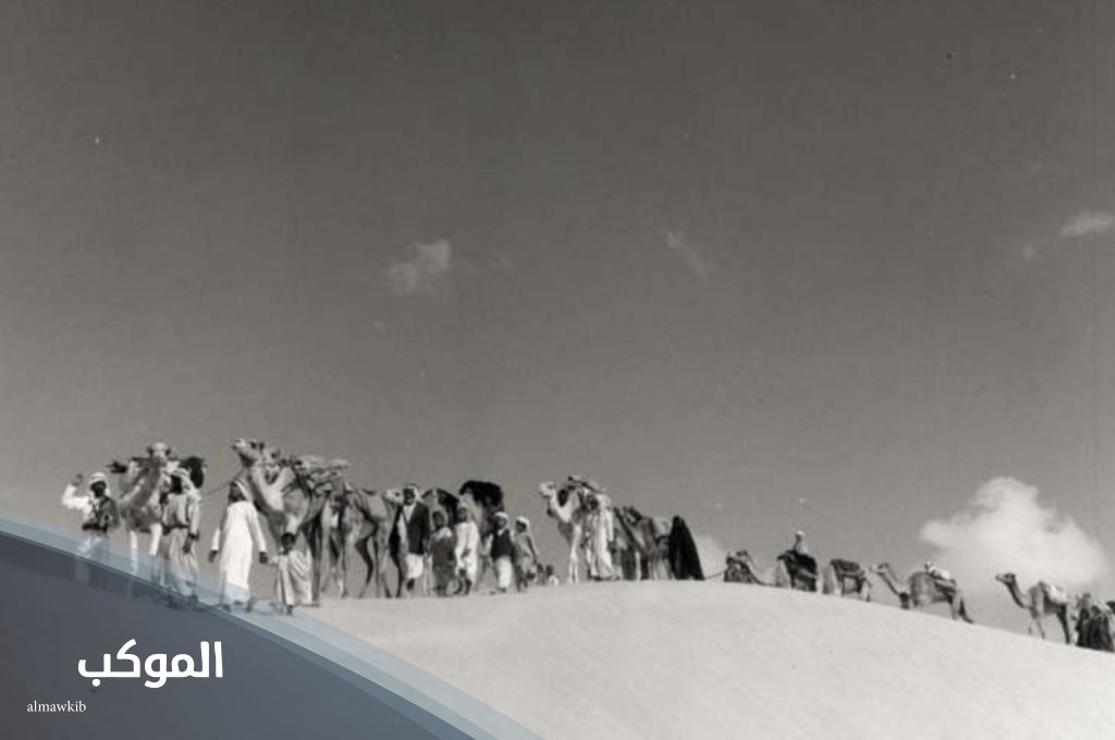 الشيباني وش يرجع