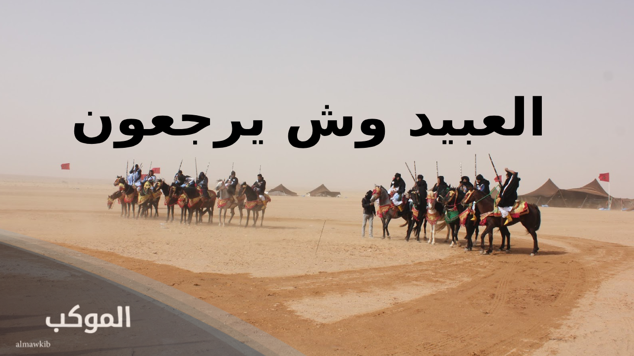 العبيد وش يرجعون.. نسب وأصل عائلة العبيد 5 أفخاذ قبيلة العبيد