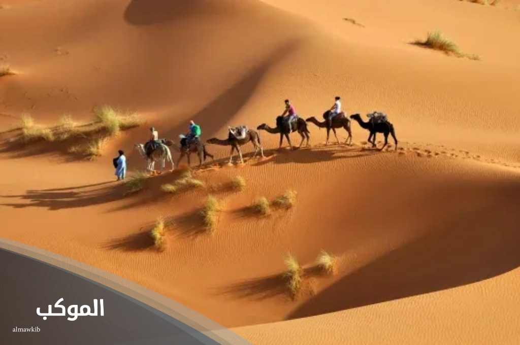 العرماني وش يرجع.. أصل العرماني وش يعود 6 العرماني حائل