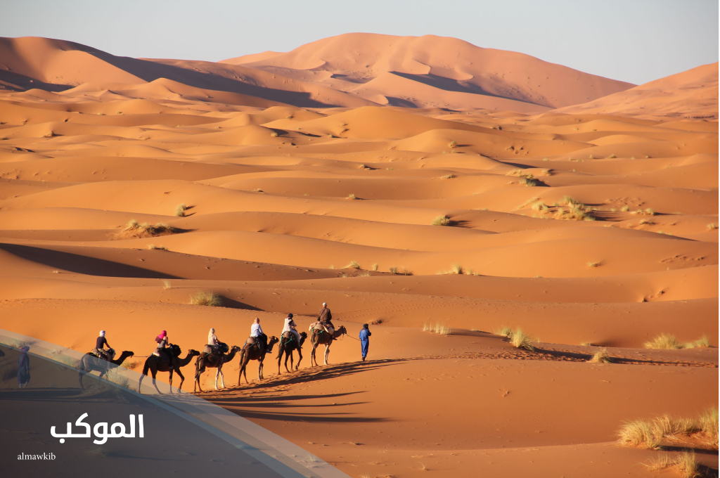 الغريبي وش يرجعون