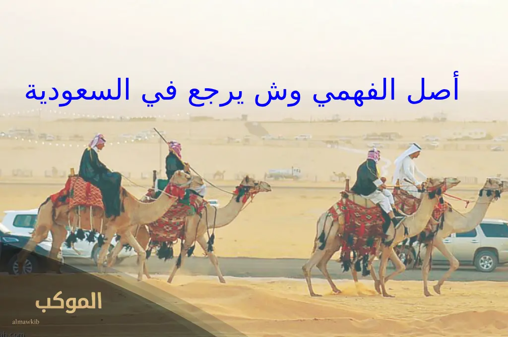 الفهمي وش يرجع 1