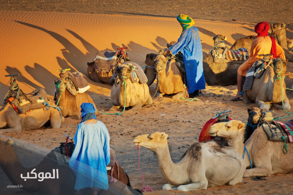 الفهيد وش يرجعون