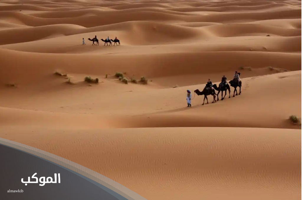 القثامي وش يرجع