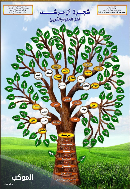 المرشدي وش يرجع.. بطون وفخوذ عائلة المرشدي 6 شجرة قبيلة المراشدة