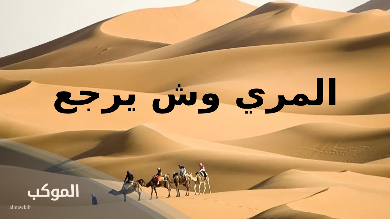 المري وش يرجع.. أصل المري وش يعود وفروع القبيلة 5 قبيلة ال مره في حضرموت