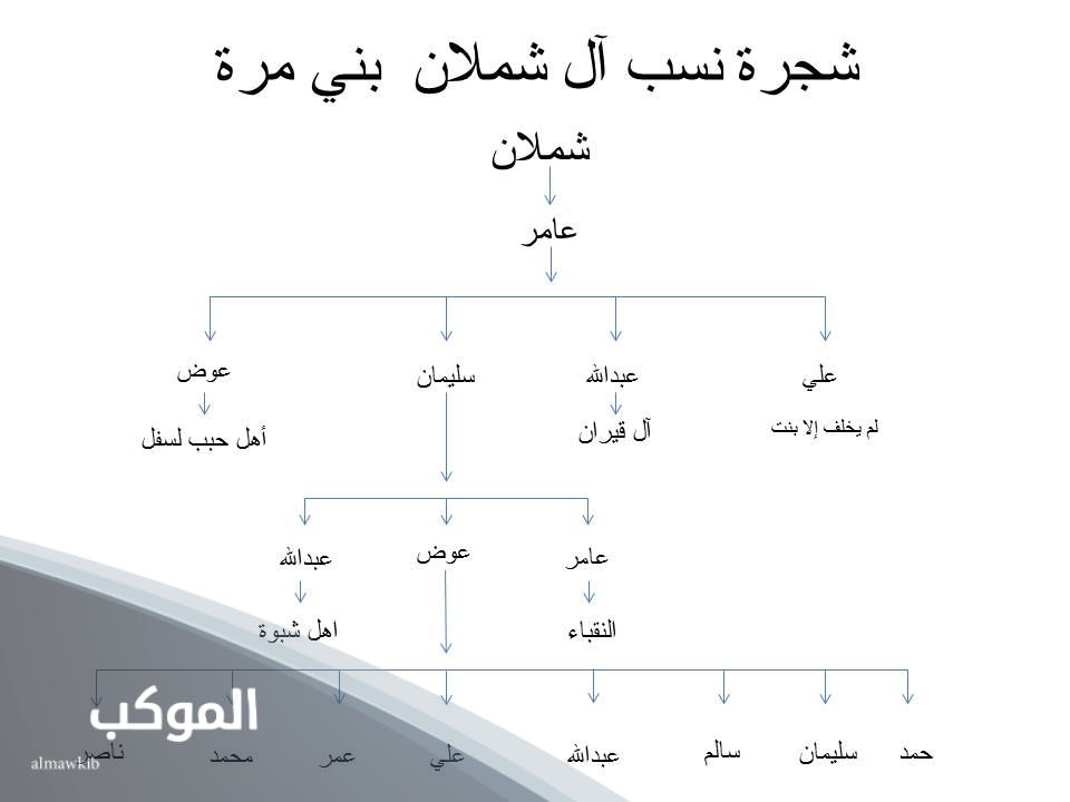 المري وش يرجع.. أصل المري وش يعود وفروع القبيلة 6 شجرة قبيلة ال مره