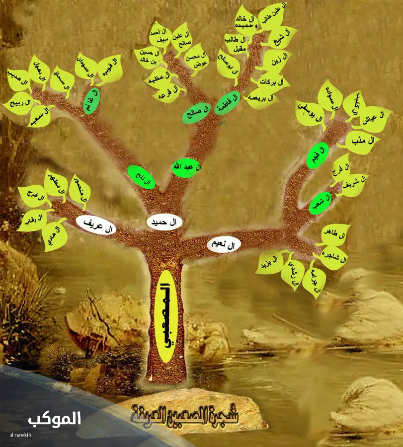 المصعبي وش يرجع.. أصل عائلة المصعبي وفروع الشجرة 6 فروع شجرة نسب المصعبيين