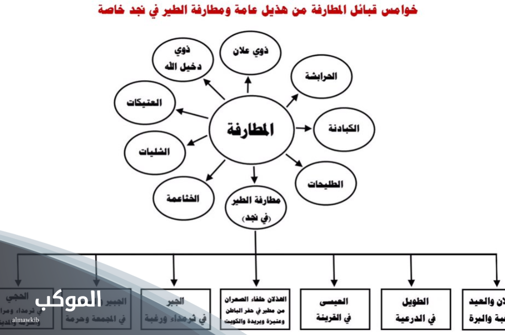 المطرفي وش يرجع.. أصل عائلة المطرفي من وين ونسب وفروع القبيلة 6 شجرة قبيلة المطرفي