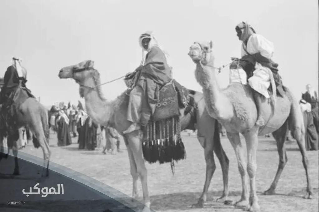 الملحم وش يرجعون.. أصل الملحم وفروع العائلة 6 الملحم من عنزة