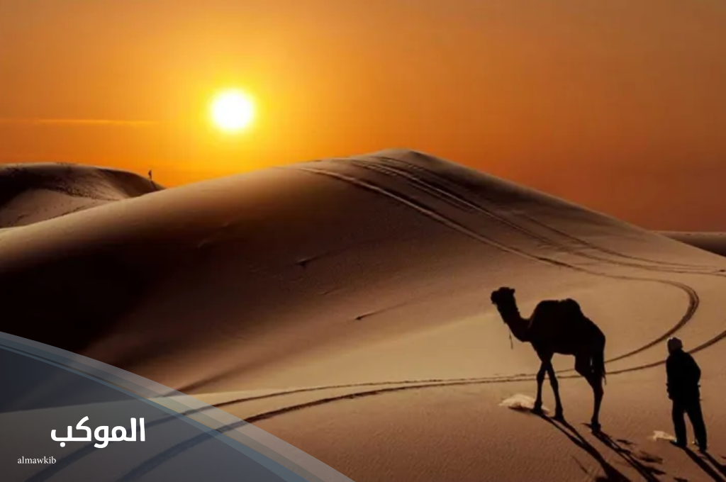 الوهيبي وش يرجعون.. نسب الوهيبي وش يعود 5 الوهيبي وش يرجعون