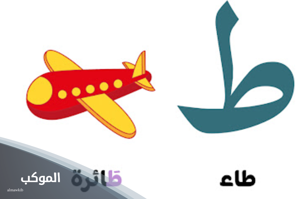 اسم جماد بحرف الطاء  من 3 حروف