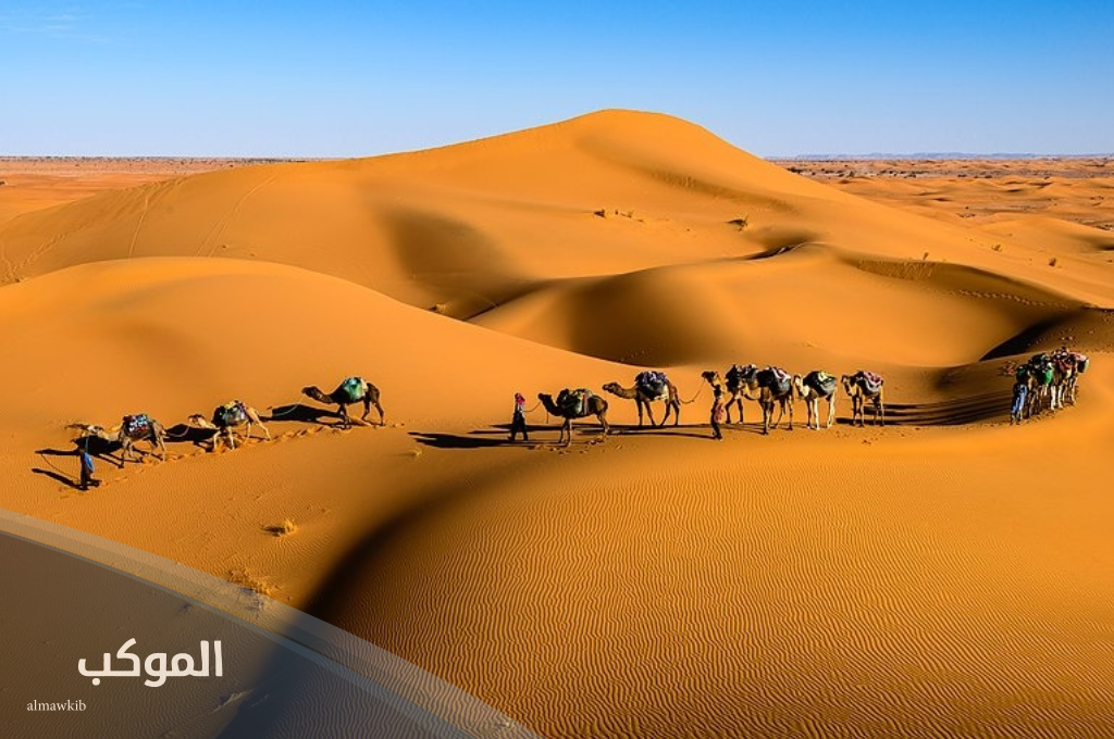 رمز قبيلة غامد .. الرمز الخاص بقبيلة غانم وحقائق تاريخية عن العائلة 6 نسب قبيلة غامد