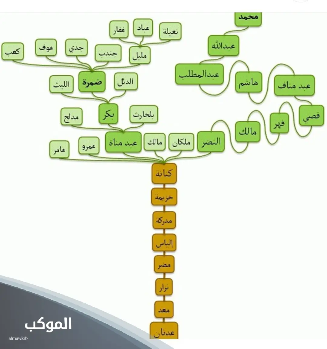 الجحدلي وش يرجع.. نسب قبيلة الجحدلي من وين 6 شجرة قبيلة الجحدلي