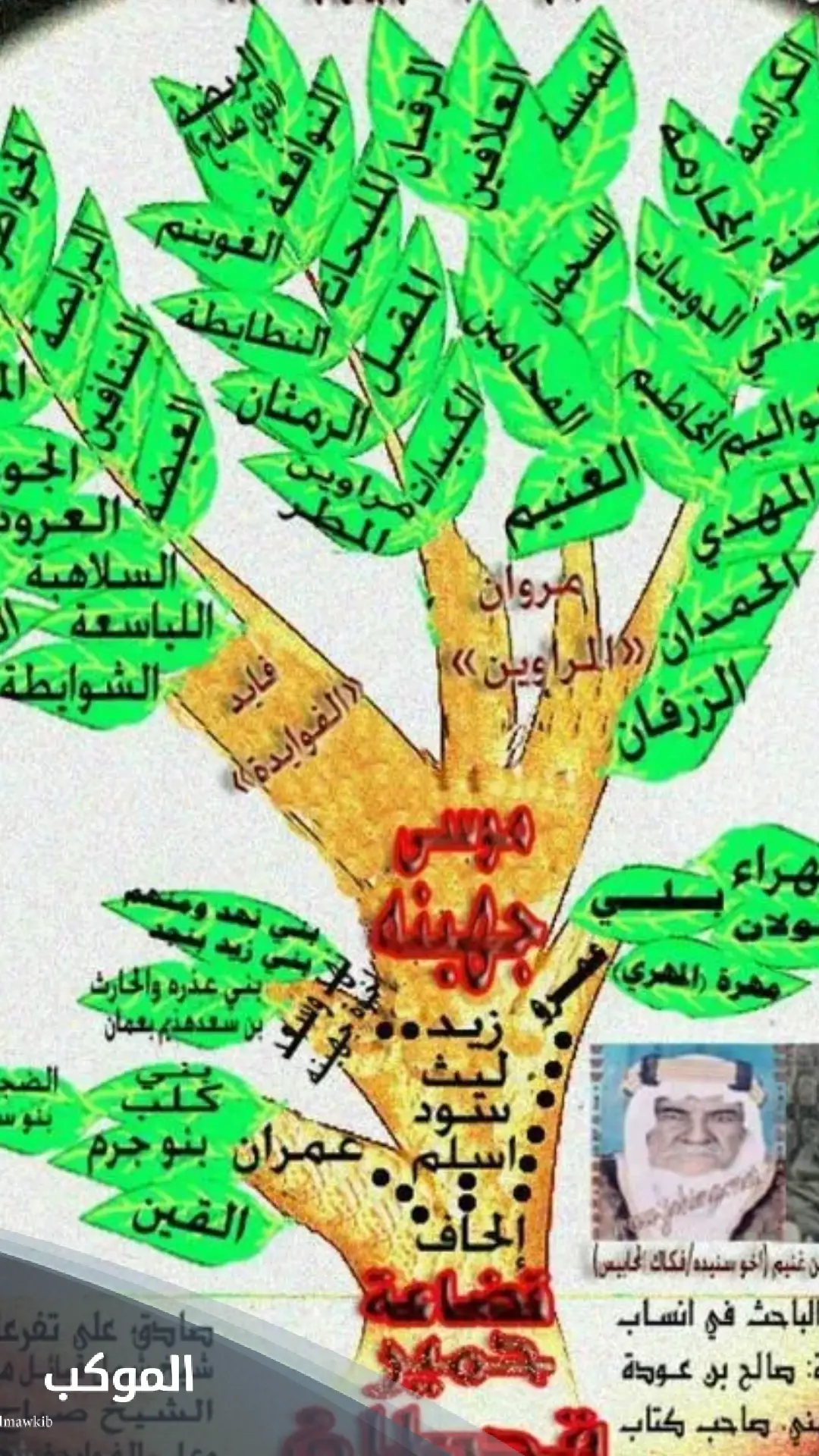 الجهني وش يرجع.. جهينة وش يرجعون 6 شجرة قبيلة جهينة