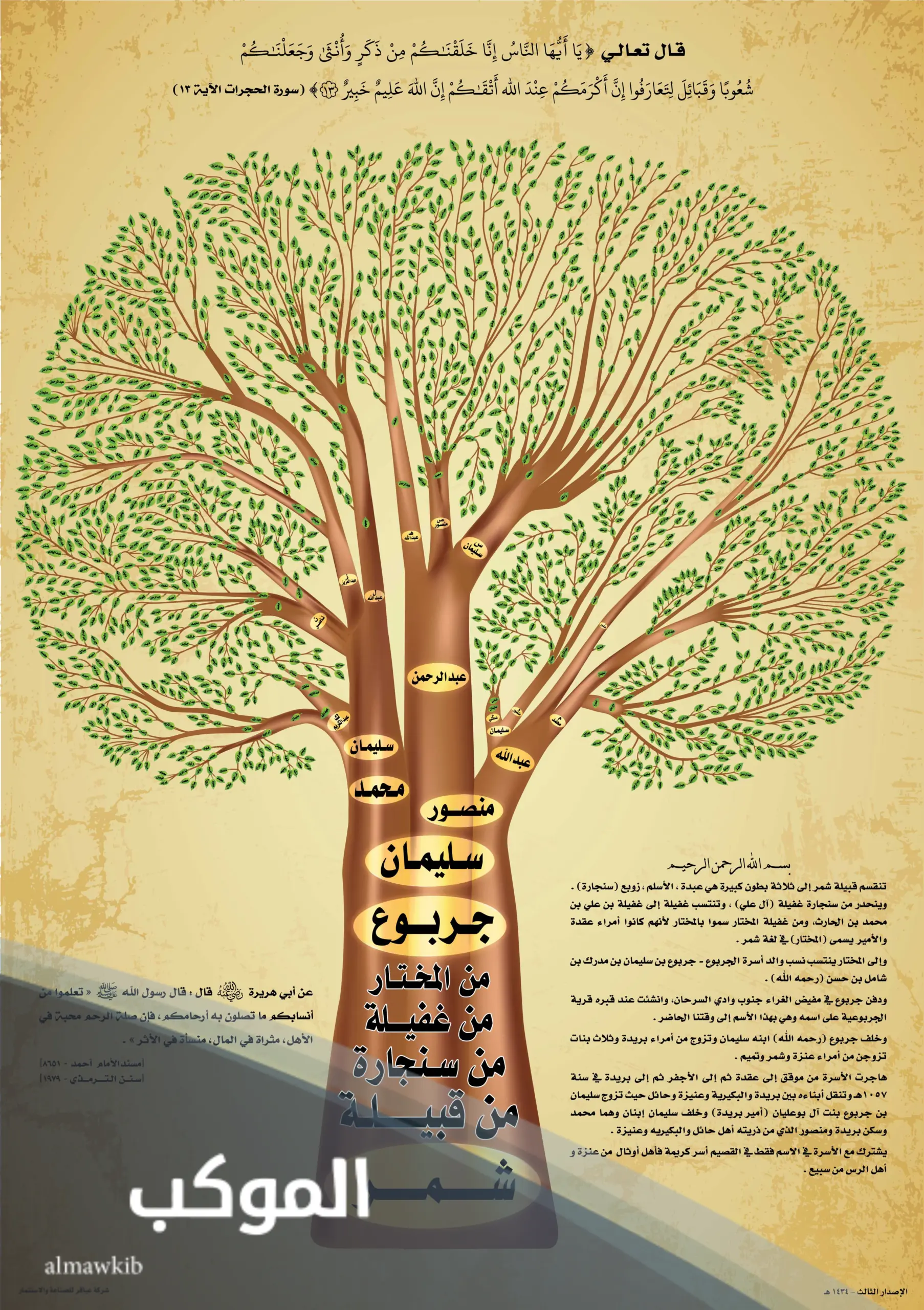 قبيلة الجربوع وش يرجعون