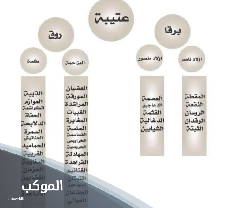 الشيباني وش يرجع.. فروع قبيلة الشيباني 6 شجرة قببيلة الشيباني