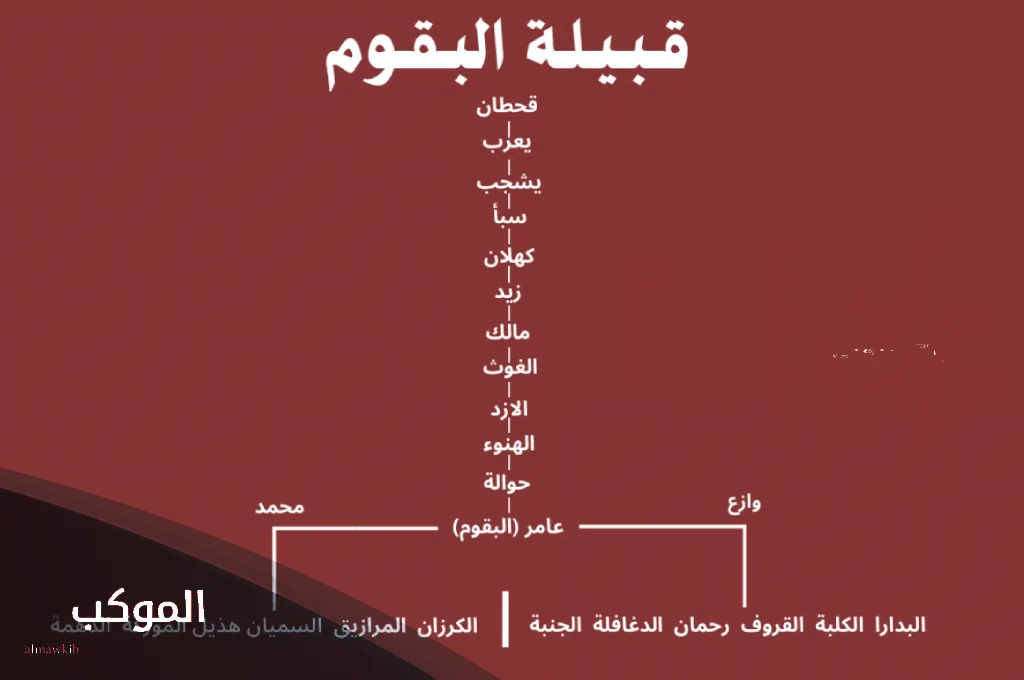 البقمي وش يرجع.. شجرة قبيلة البقمي والنسب 6 شجرة قبيلة البقمي