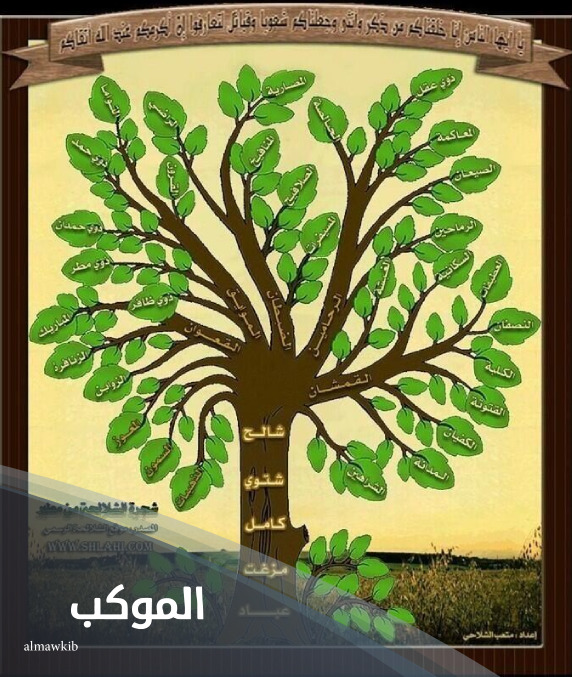 شجرة قبيلة الشلاحي