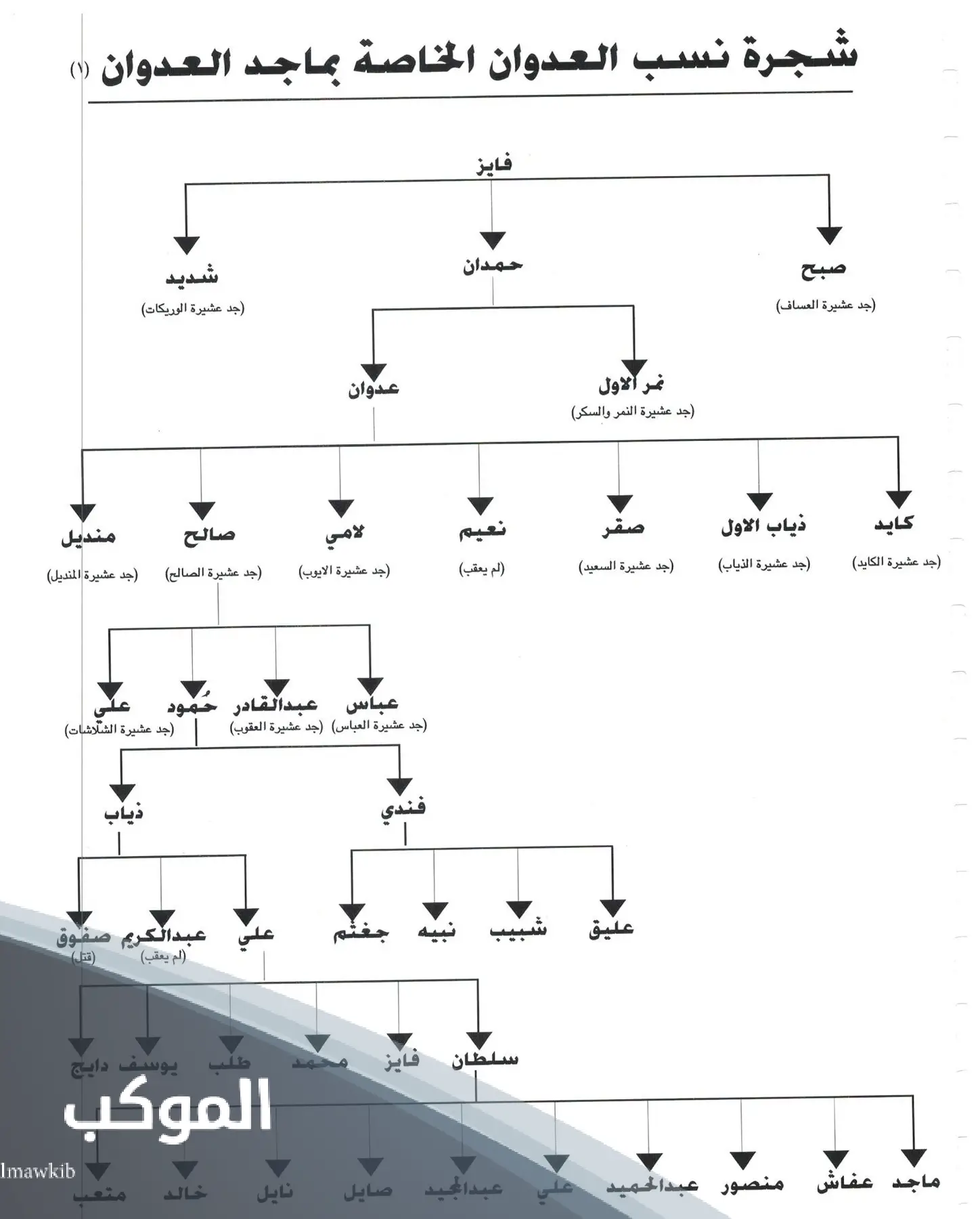 شجرة قبيلة عدوان