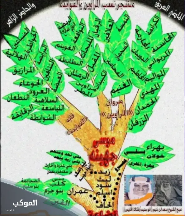المرواني وش يرجع.. أصل قبيلة المرواني وفروع الشجرة 6 شجرة قبيلة المرواني