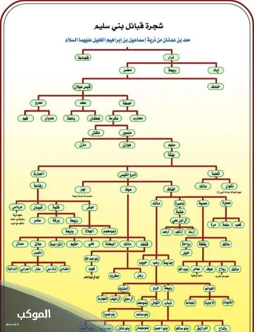 السليم وش يرجعون.. نسب قبيلة السليم وش يعود 6 فروع شجرة بني سليم