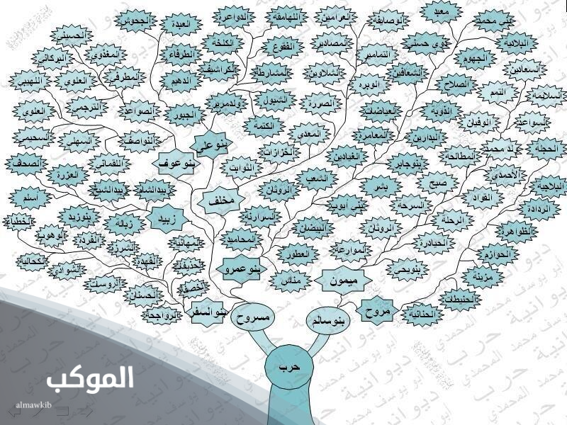 شجرة قبيلة حرب.. فروع وبطون قبيلة حرب 6 ديار قبيلة حرب