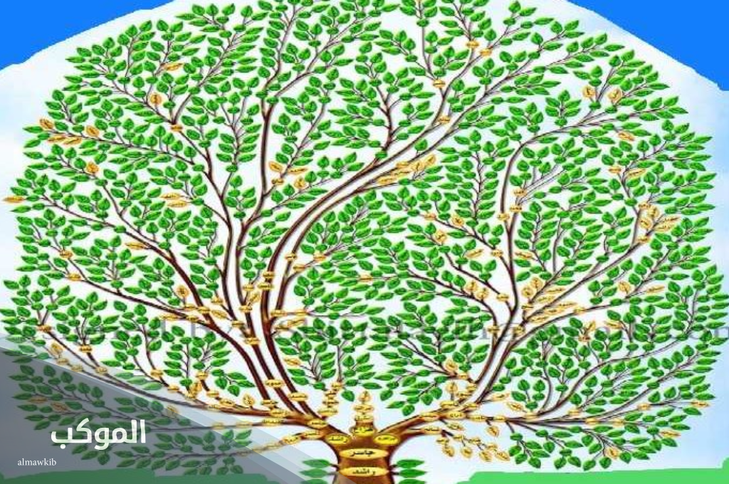 شجرة قبيلة مطير.. أصل ونسب قبيلة مطير وش يرجع