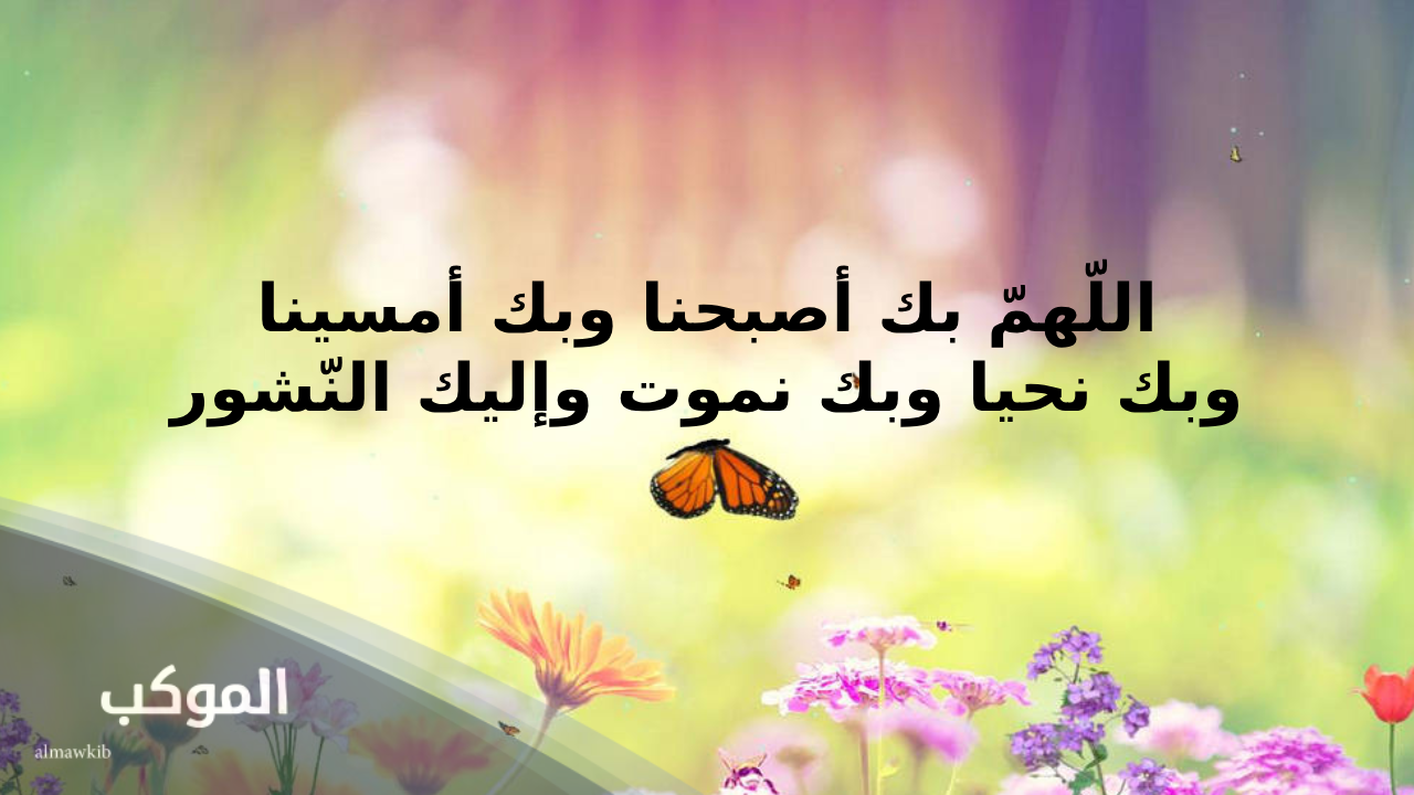 صباح الخير مع دعاء للأصدقاء والاحباب 7 صباح الخير دعاء قرآن