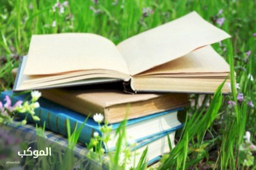 عبارات جميلة