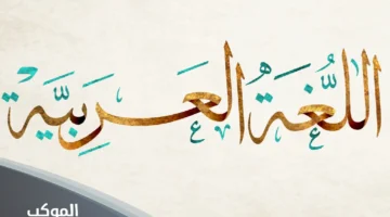 عبارات عن اللغة العربية بالصور