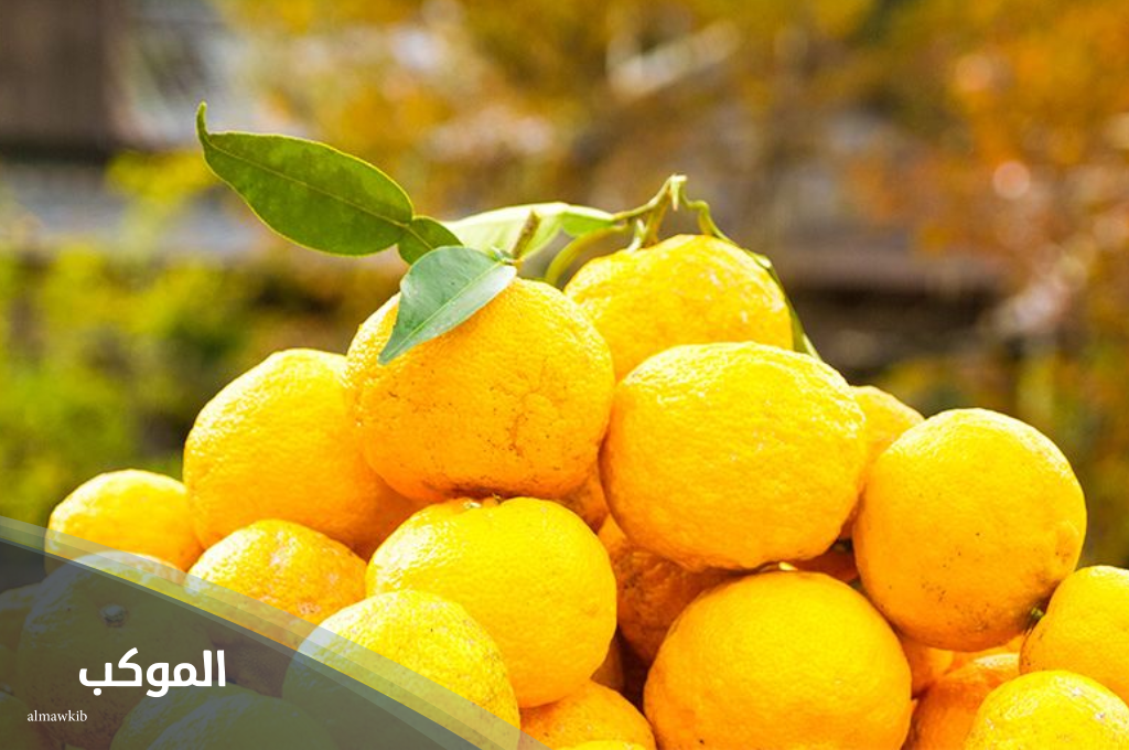فاكهة بحرف الياء .. اسم 5 فواكه تبدأ بحرف الياء (ي) 5 فاكهة غربية تبدأ بحرف الياء