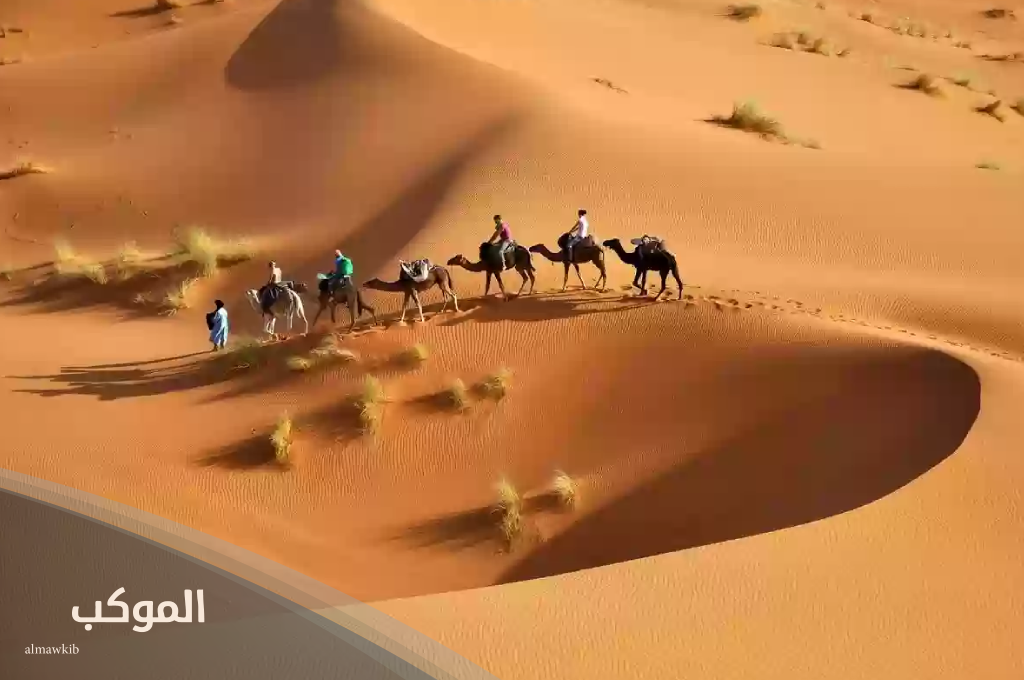 511 رمز اي قبيلة؟ لمن يرمز هذا الرمز؟ 6 أماكن تواجد قبيلة عتيبة
