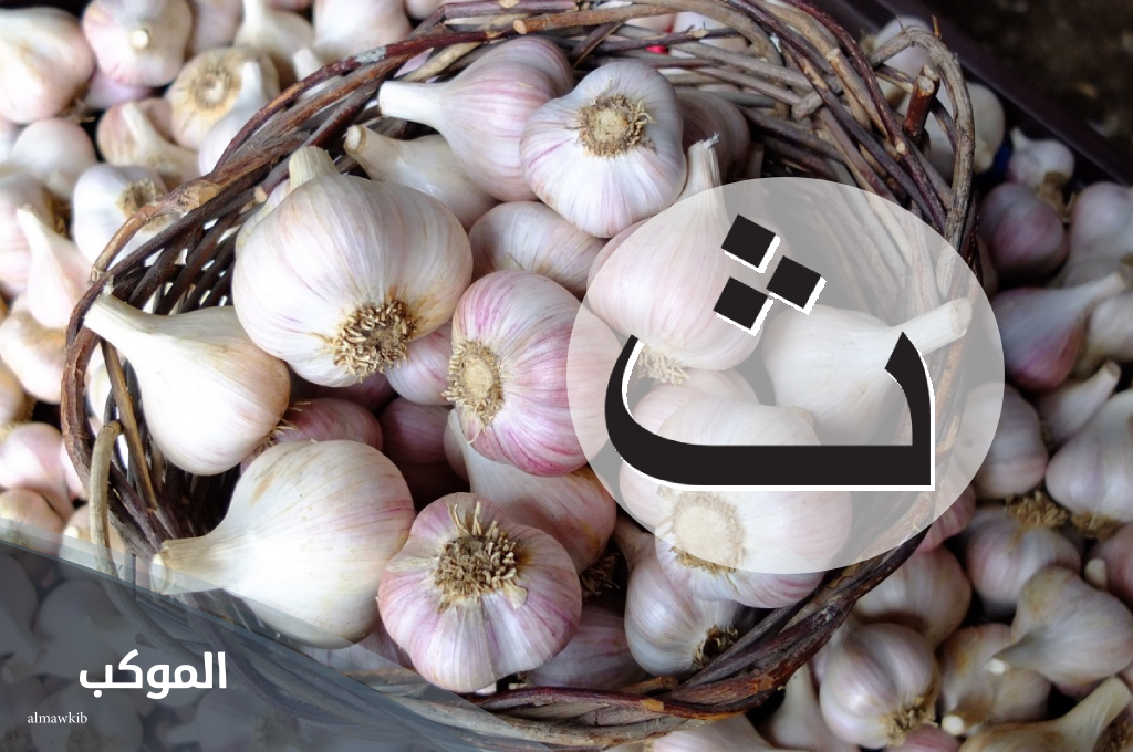 أسماء نباتات بحرف الثاء من 3 حروف