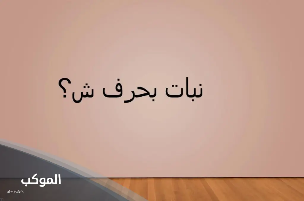 نبات بحرف ش