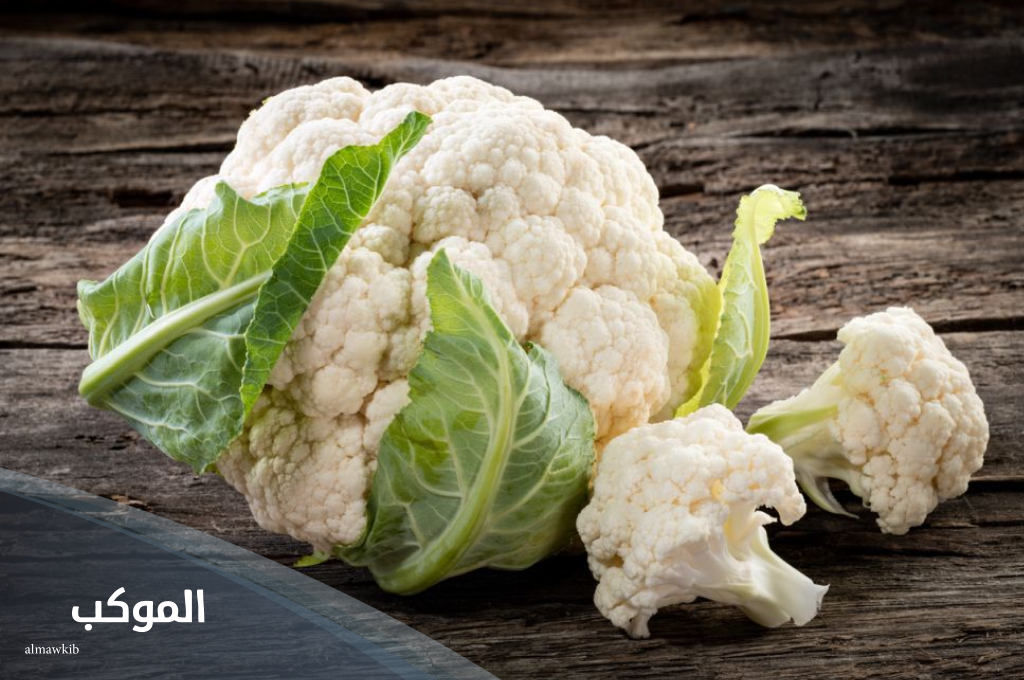 نبات بحرف ق ساعدني