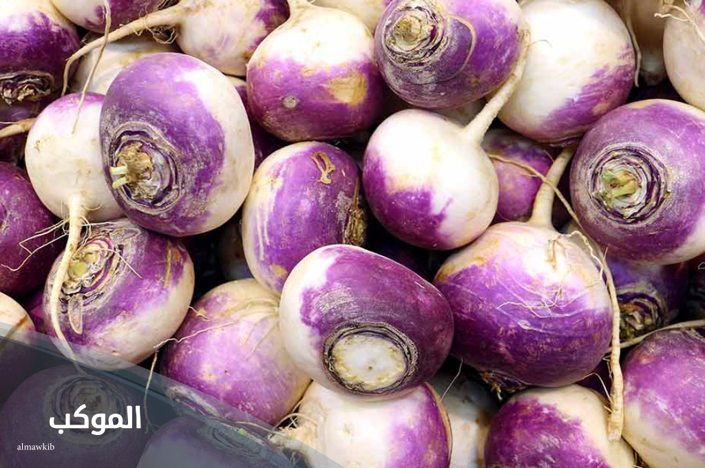 نبات بحرف ل غير ليمون